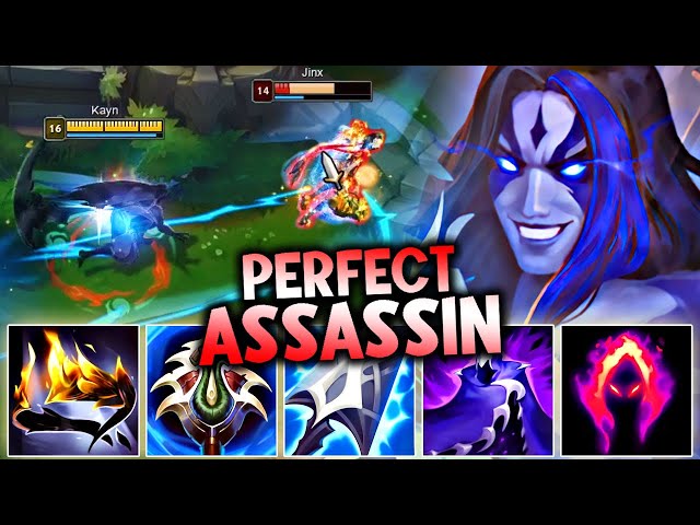 THE PERFECT ASSASSIN DOESN'T EXI...