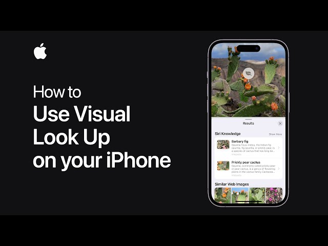 How to use Visual Look Up on your iPhone | Apple Support