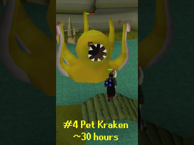 Top 5 Fastest Pets In OSRS