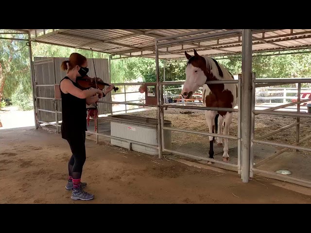 Violinist Serenades Rescued Horses