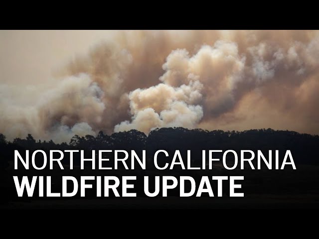 LIVE: Updates on California Wildfires, Evacuations [8/24 4 PM]