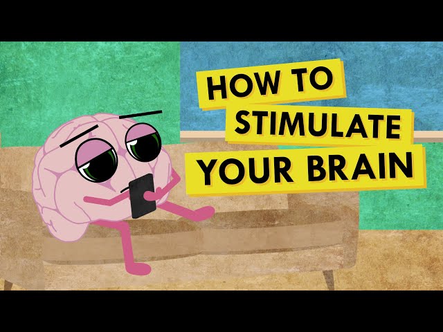 How to Give Your Brain the Stimulation It Needs
