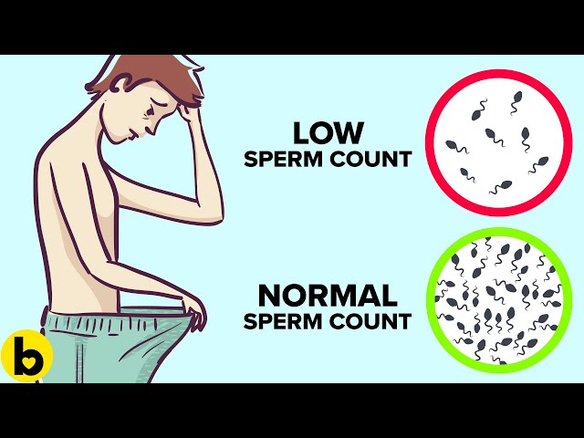 15 ESSENTIAL & NATURAL Male Fertility MIRACLES You Need NOW