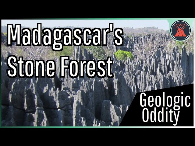 The Geologic Oddity in Madagascar; The Tsingy Stone Forest