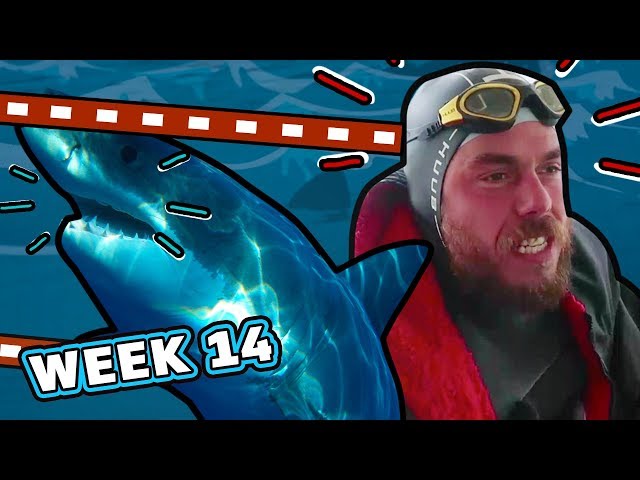Shock Encounter With A Shark | Ross Edgley's Great British Swim: E14