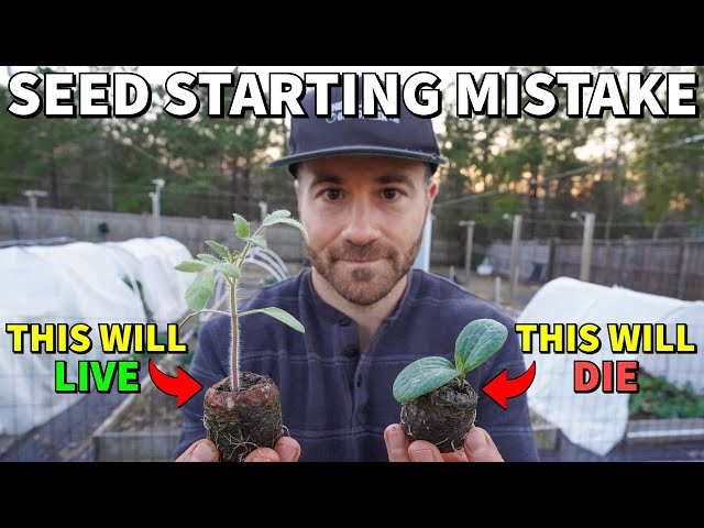 Don't Make This BIG MISTAKE Planting Cucumbers, Melons And Squash!