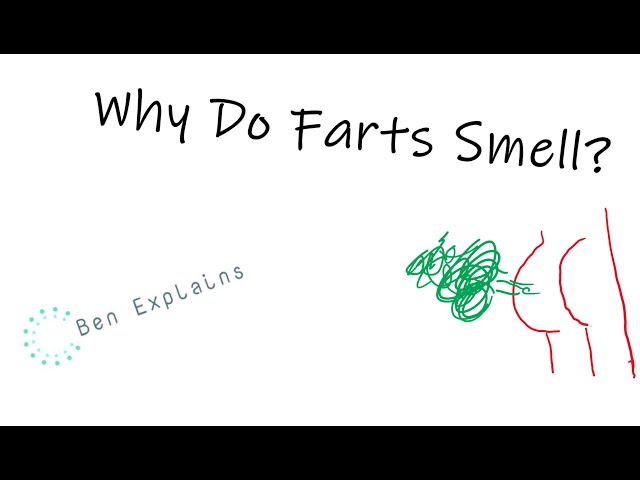 Why Do Farts Smell?
