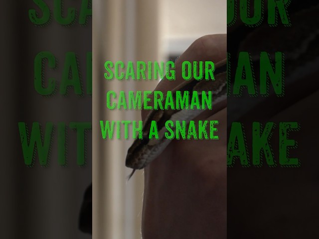 Scaring Our Cameraman With A Snake!
