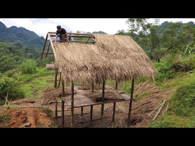 I built a house with bamboo alone ||  cutting thatch leaves for roofing. episode 2