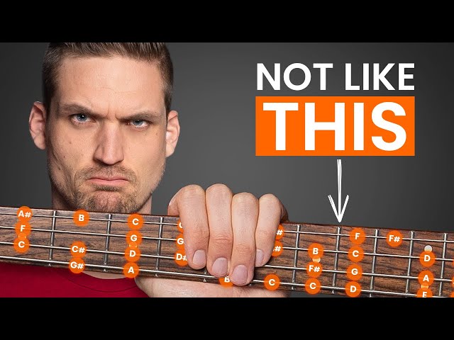 Bass Scales for Beginners (5 Stupidly Simple Steps)