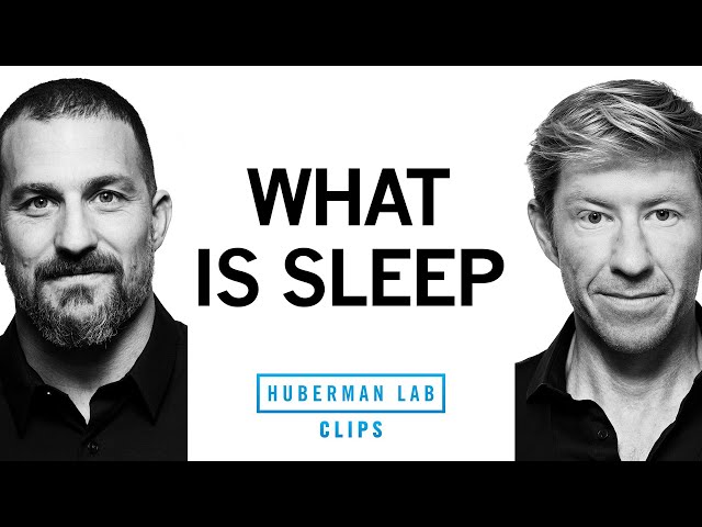 What is Sleep? | Matt Walker & Andrew Huberman