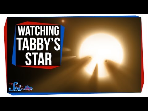 Tabby's Star