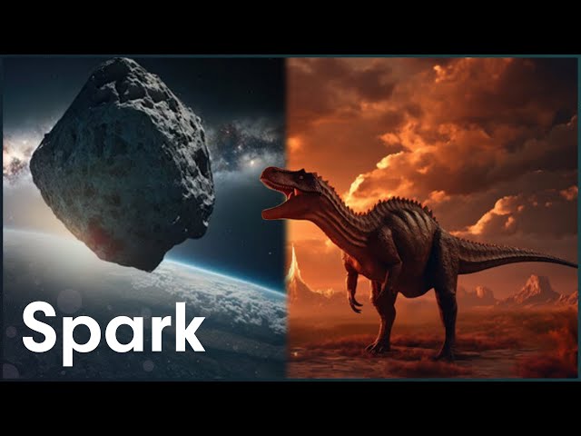 How Many Times Has The Earth Experienced An Extinction Event? | The Next Great Event | Spark