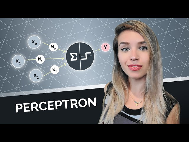 Perceptron Algorithm with Code Example - ML for beginners!
