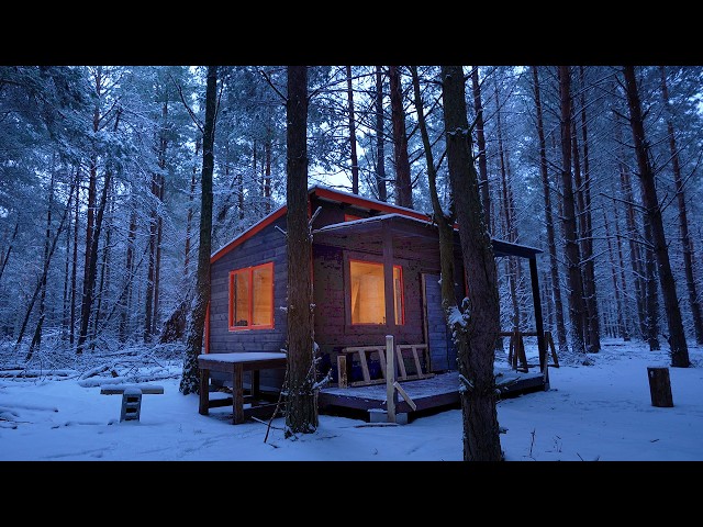 6 months building cabin in the woods, off grid house start to finish