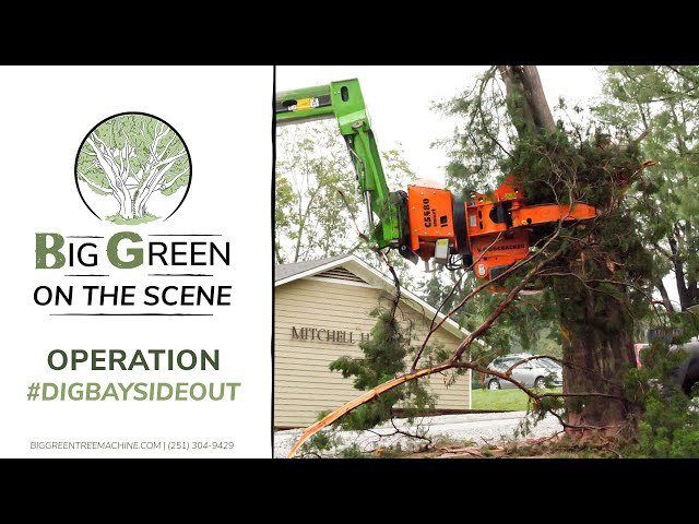 Big Green Tree Machine: Operation Dig Bayside Out