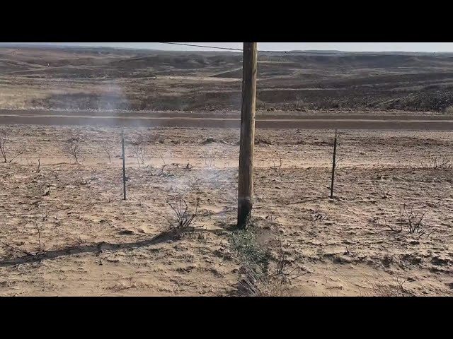 Smokehouse Creek Fire burns family's ranch land, kills livestock in Panhandle