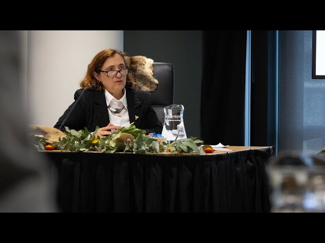 Land, Sky & Waters Hearings | The Hon. Lily D'Ambrosio MP | 22 April 2024