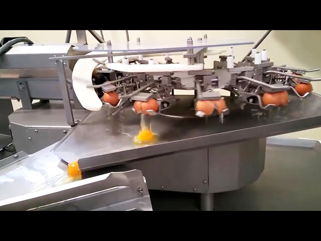 Food machines and processing processes that will surprise you
