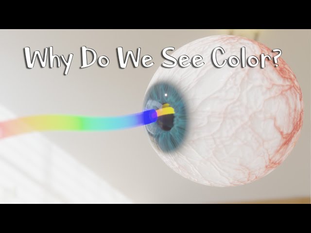 Why Do We See Colors?