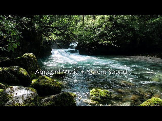 Relaxing ambient music with soothing sound of water and the barking of birds for 4 hours
