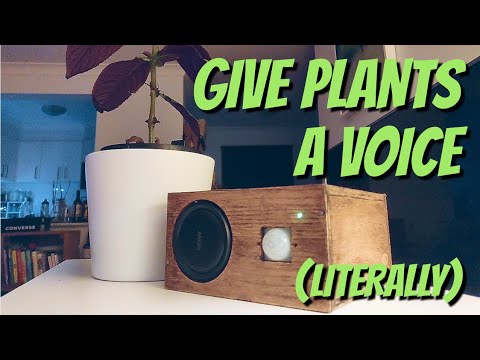 Give Plants a Voice - Creative Engineering with Mark Rober