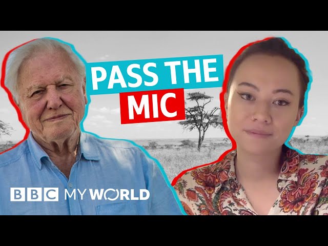 Why are climate activists asking SIR DAVID ATTENBOROUGH to #PasstheMic on Insta? - BBC My World