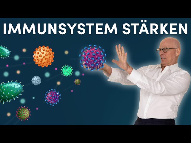 So bleibst du Gesund: Was beeinflusst unser Immunsystem