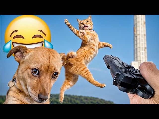 Cute animal Videos That You Just Can't Miss😻🐶Part 14