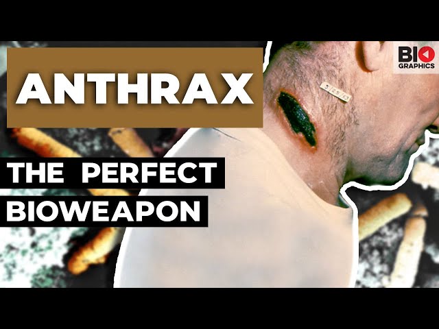 Anthrax: Nature’s Perfect Bioweapon