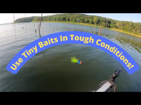 Use Tiny Baits In Tough Conditions! #59 (8-6-2022)
