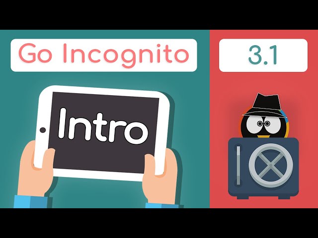 Section 3 Introduction | Go Incognito 3.1