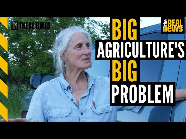 Big Agriculture’s bleak future for all of us