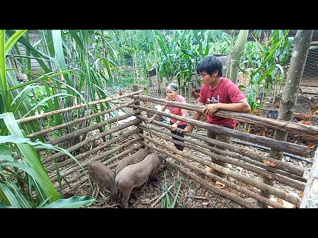 Going Home to Take Care of Mom, Back on the Farm, Future Life, Episode 69