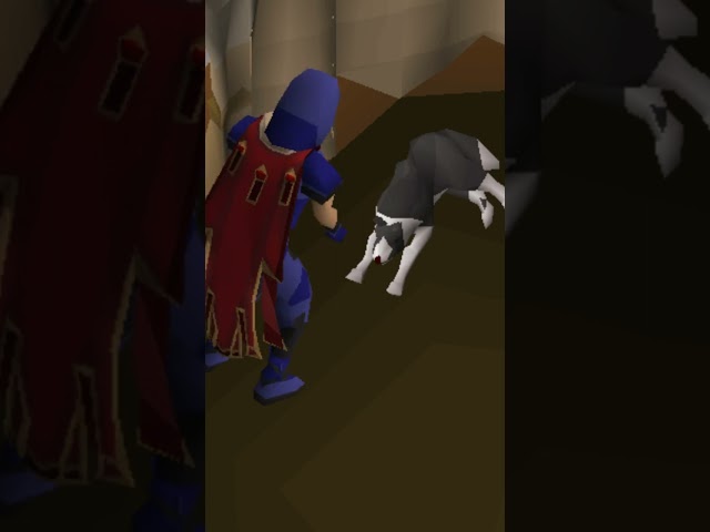 Petting Every Dog In Runescape Any% Speedrun WR