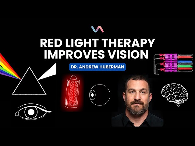 Unlock Better Vision with Dr. Andrew Huberman #animated