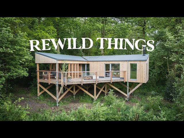 Exploring a Hidden Eco Treehouse in the Woods (Airbnb Tour)