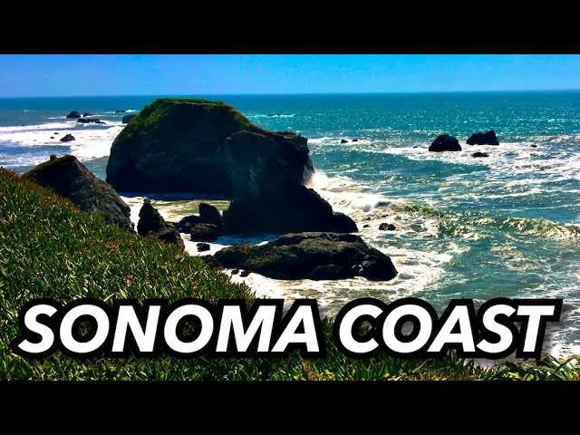 POV Road Trip in a Day!  Exploring the Sonoma Coast State Park Beaches on the Pacific Coast Highway!