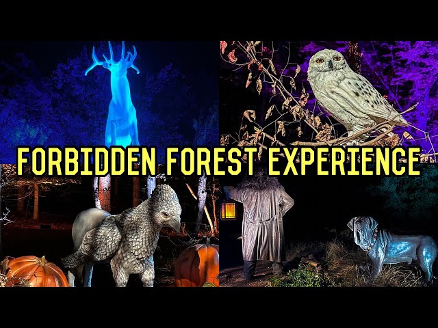 Harry Potter: A Forbidden Forest Experience In Little Elm Texas