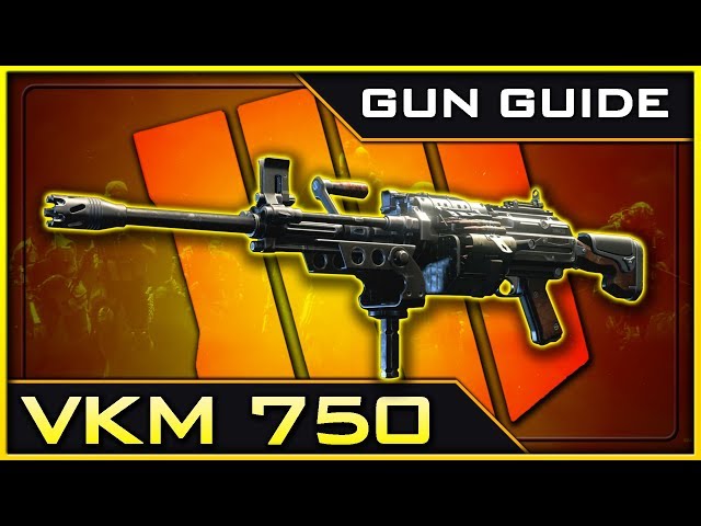 VKM 750 Stats & Best Class Setups! | Black Ops 4 Gun Guide #11