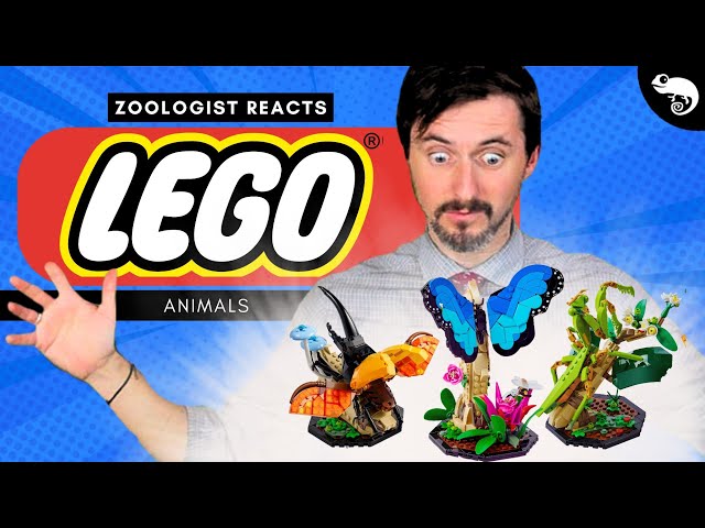 Zoologist Reacts to TERRIBLE and TERRIFIC Lego Animals!