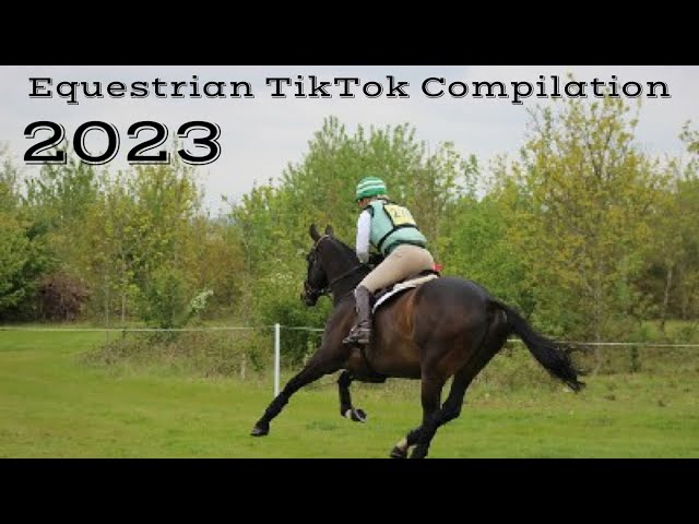 Equestrian Compilation | by Sarah & Horses