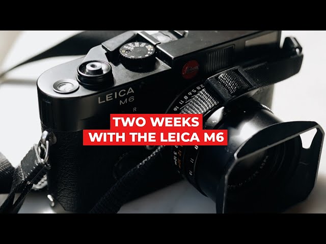 Two Weeks with the Leica M6