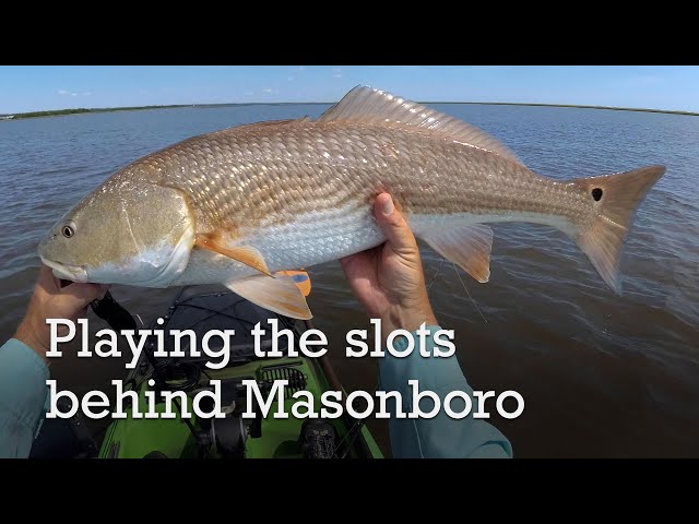 Inshore red drum fishing behind Masonboro Island, North Carolina