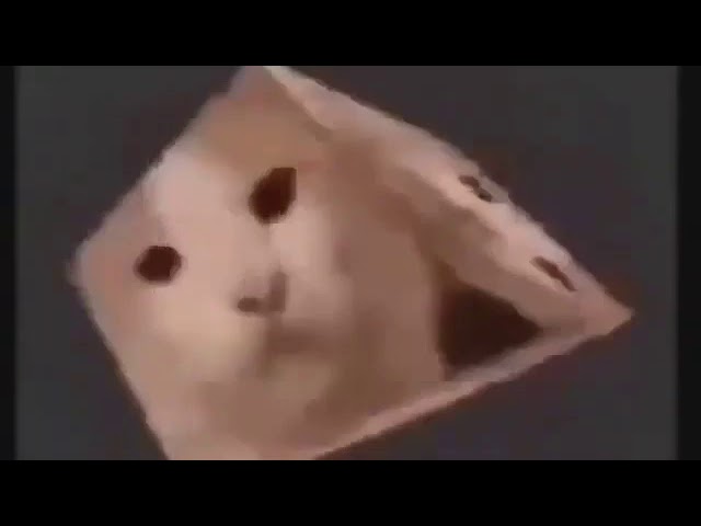 ROTATING CUBE CAT (10 HOURS EDITION)