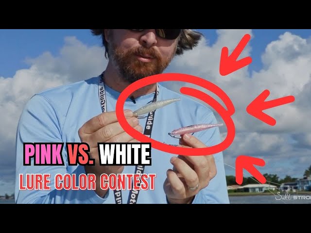 Pink VS. White: Lure Color Contest [What Will Catch More Fish?]