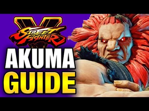 Street Fighter V - Character Guides - All You Need To Know!