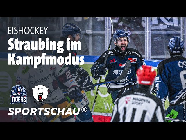 Straubing Tigers - Eisbären Berlin DEL-Playoffs, Halbfinale | Sportschau