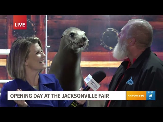 Live interview - Greater Jacksonville Agricultural Fair Sea Lions