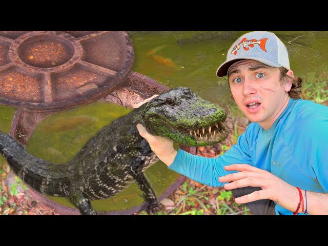 I Accidentally Caught an Alligator in a Sewer!